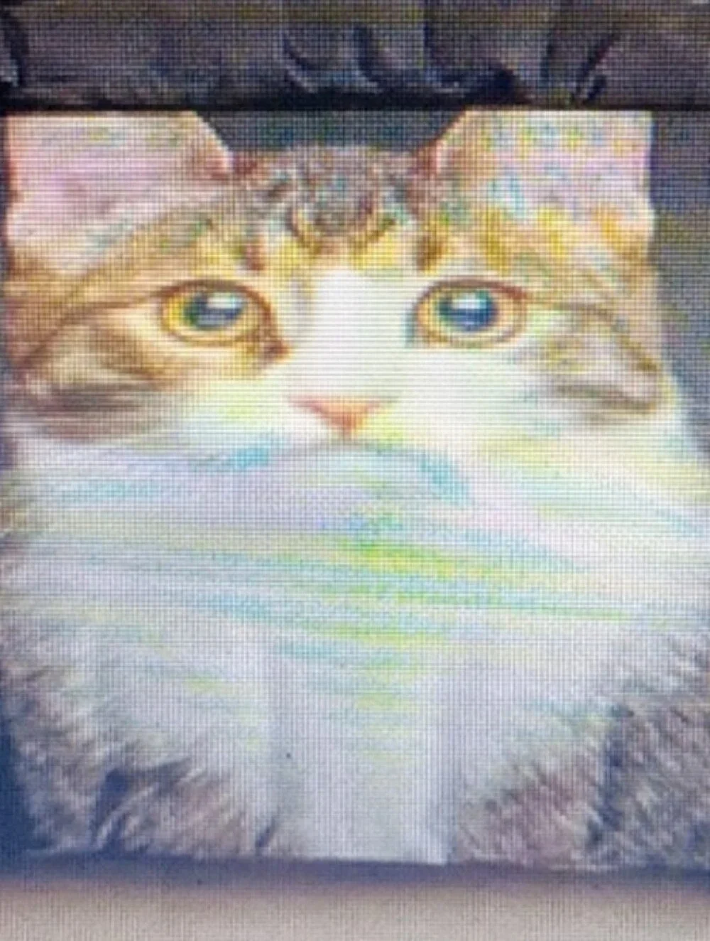 Cat Portrait Decorative Duvet Cover